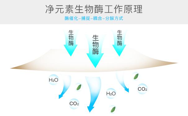 光觸媒、生物酶、空氣凈化器，哪家除甲醛公司效果好？